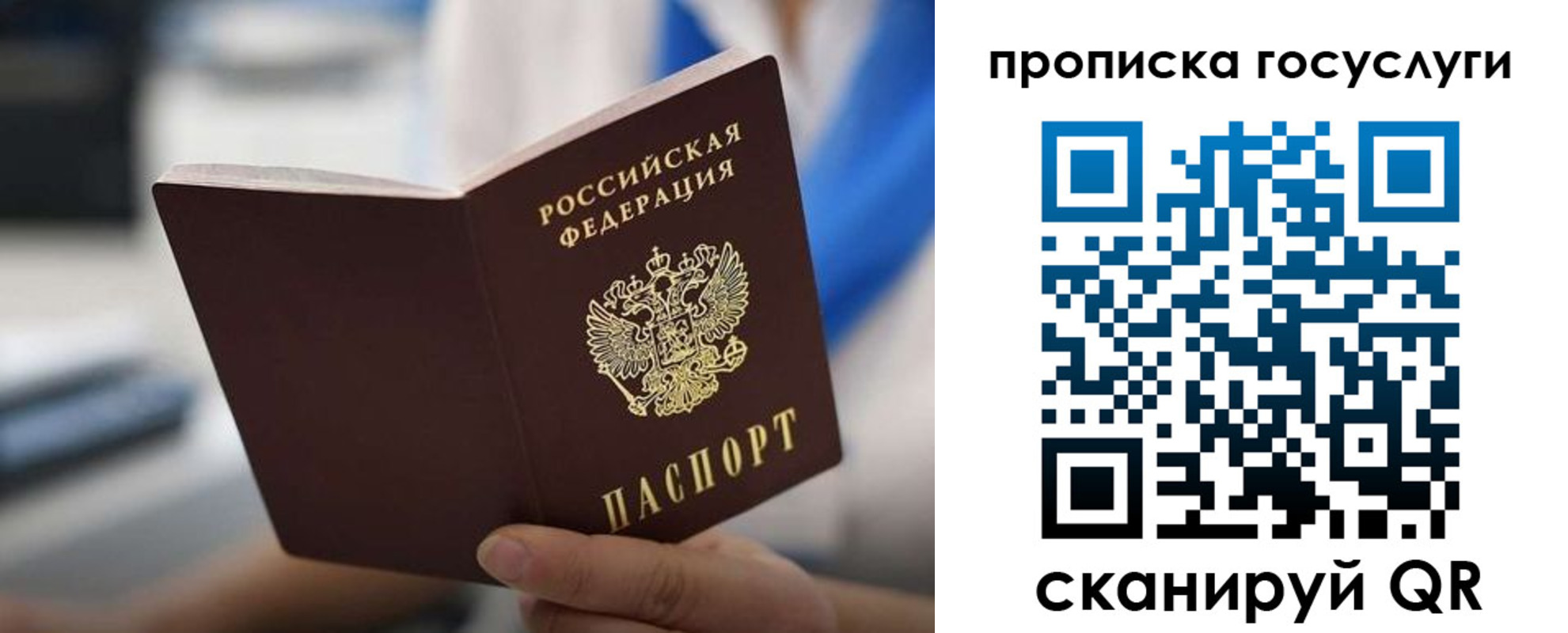временная регистрация 2025 в Петропавловске-Камчатском